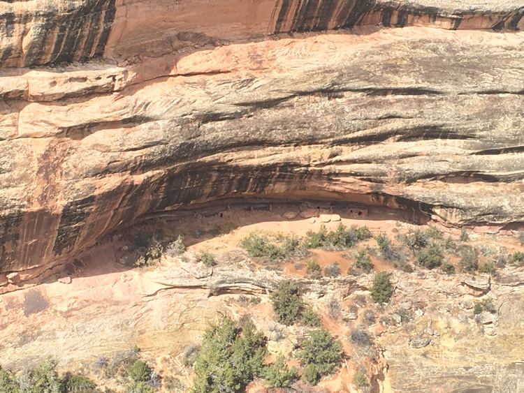 Natural Bridges National Monument